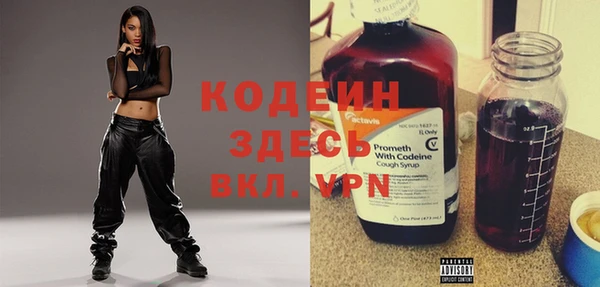 шишки Пестово