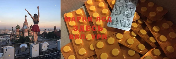 шишки Пестово