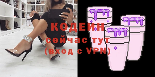 шишки Пестово