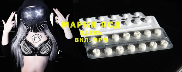шишки Пестово