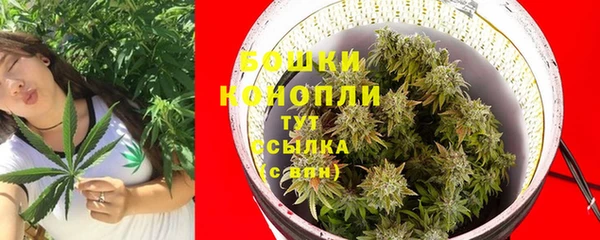 шишки Пестово