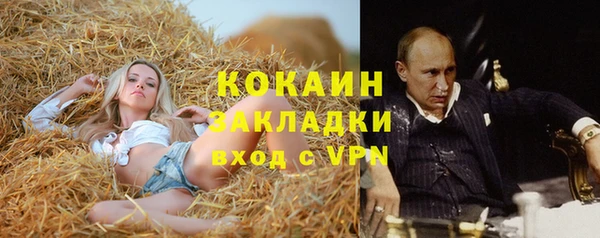 шишки Пестово