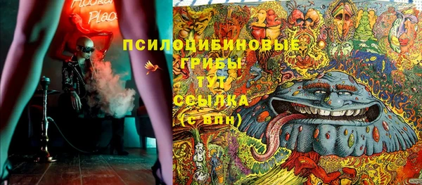 герыч Пересвет