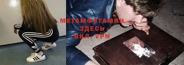 шишки Пестово