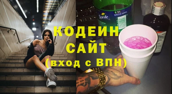 шишки Пестово