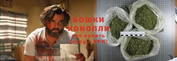 шишки Пестово
