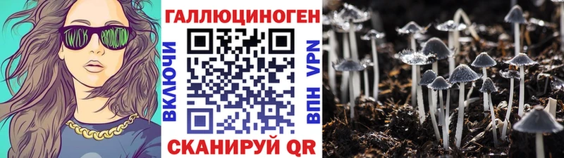закладка  Котельники  Галлюциногенные грибы Psilocybine cubensis 