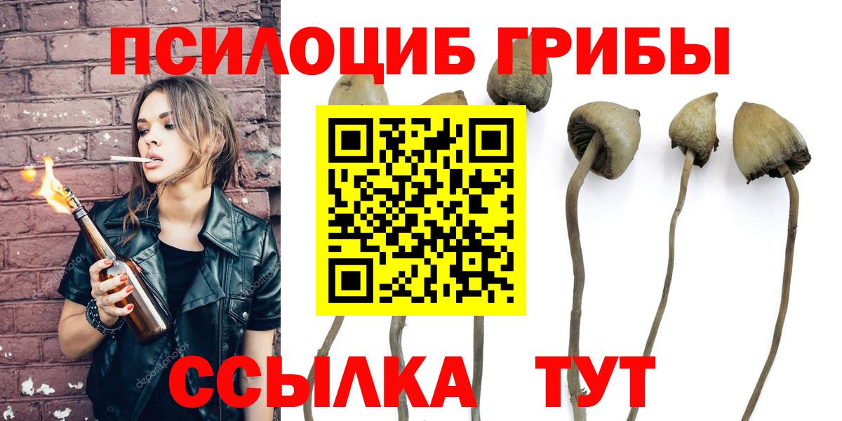 Псилоцибиновые грибы Psilocybe Котельники